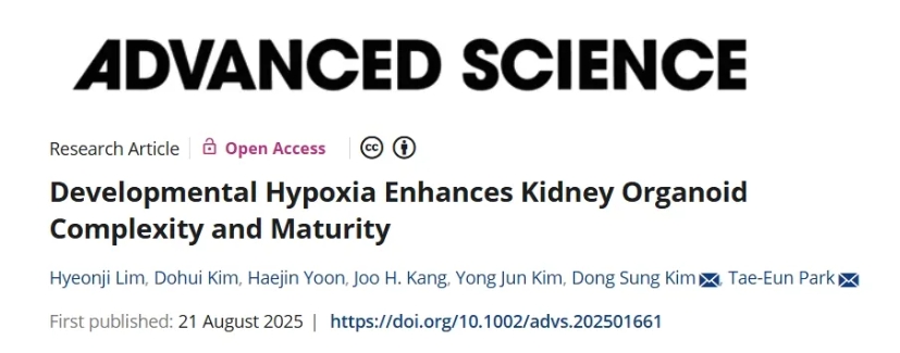 研究相关示意图1