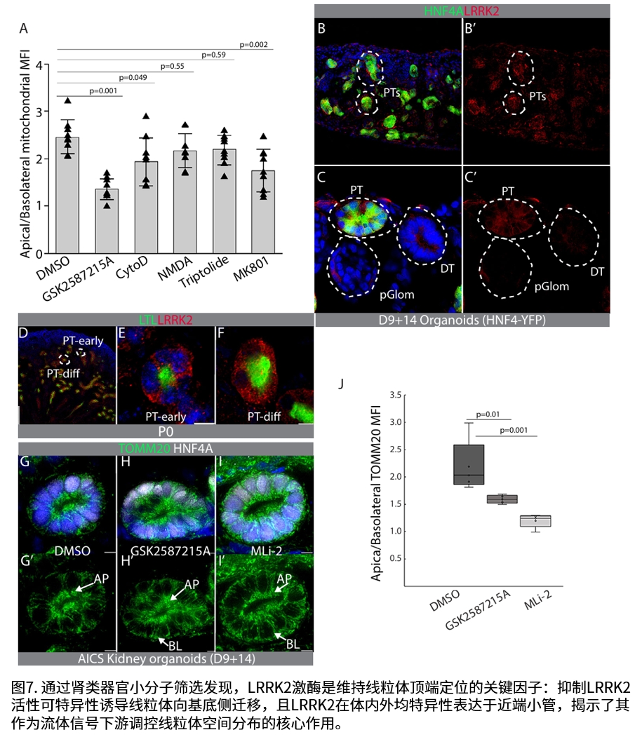 实验结果示意图7