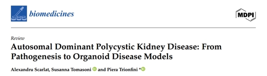 ADPKD研究相关图标