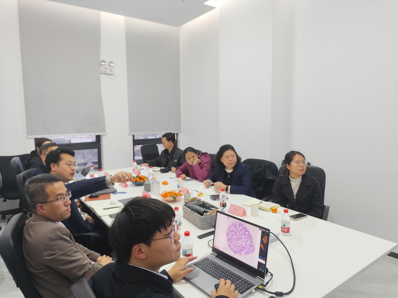 类器官技术平台