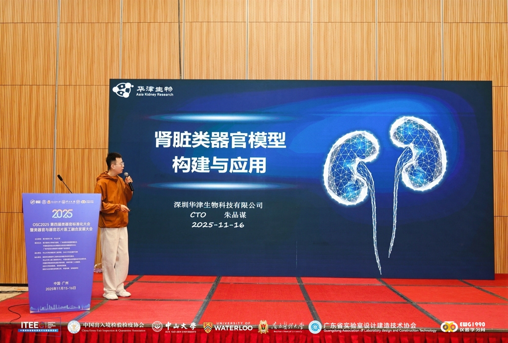 华津生物亮相OSC 2025类器官标准化大会，展示肾脏类器官前沿成果