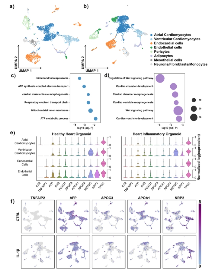 单细胞测序分析