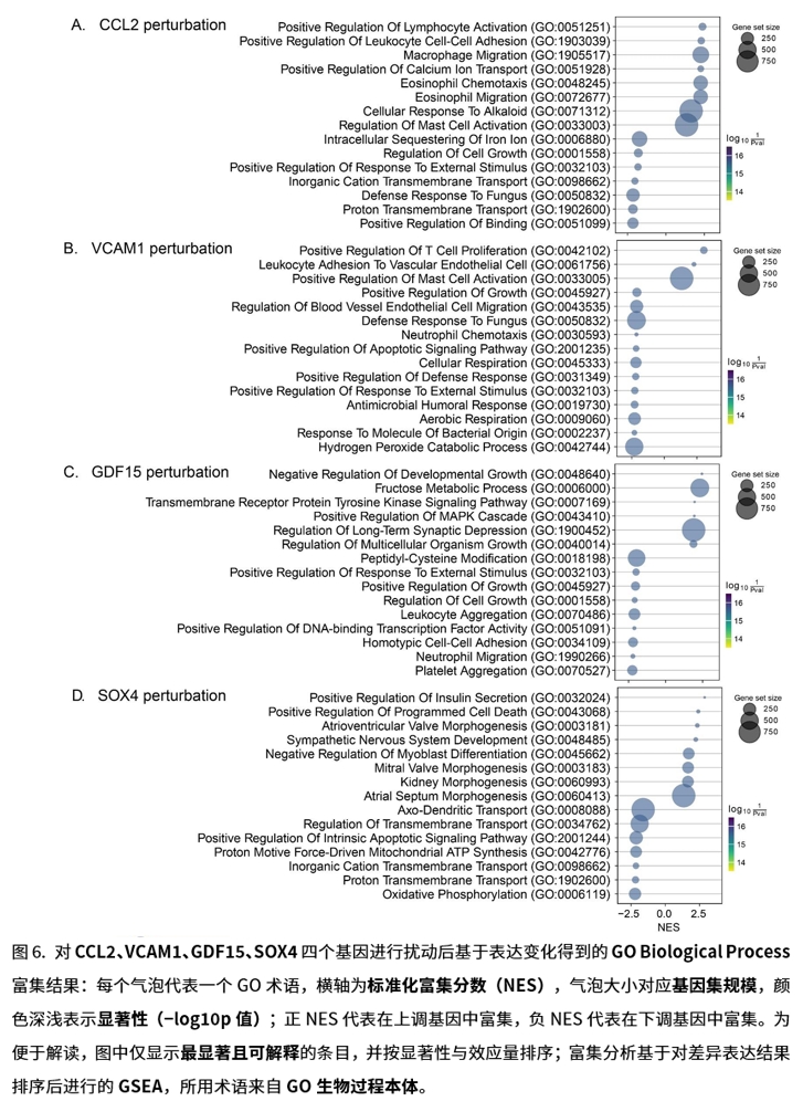 Nephrobase Cell+ 相关图示6
