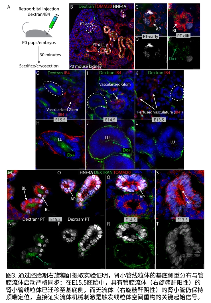 实验结果示意图3