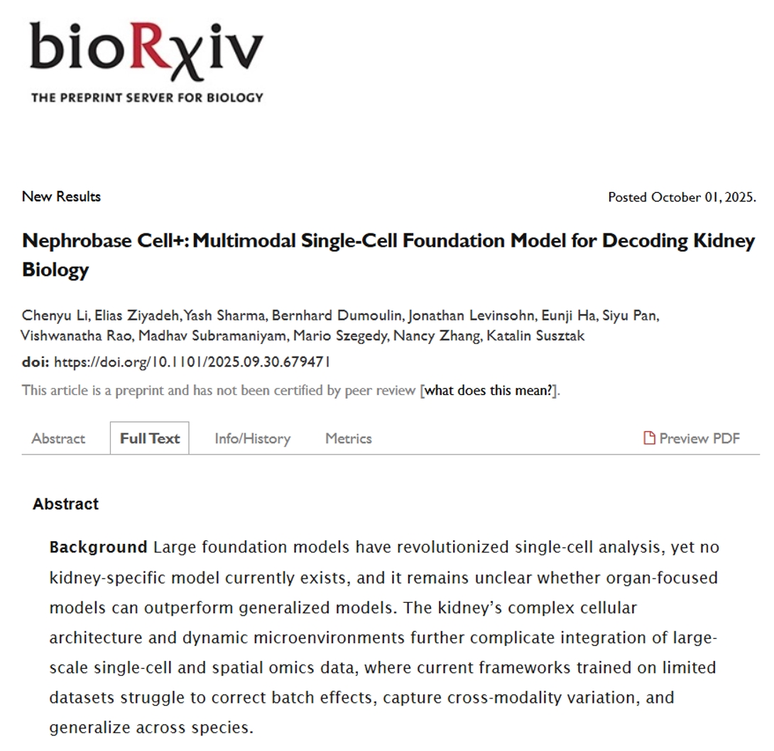 Nephrobase Cell+ 相关示意图