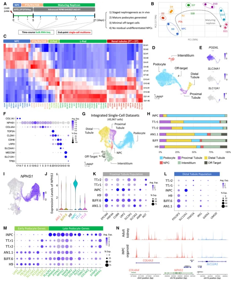 单细胞多组学分析结果