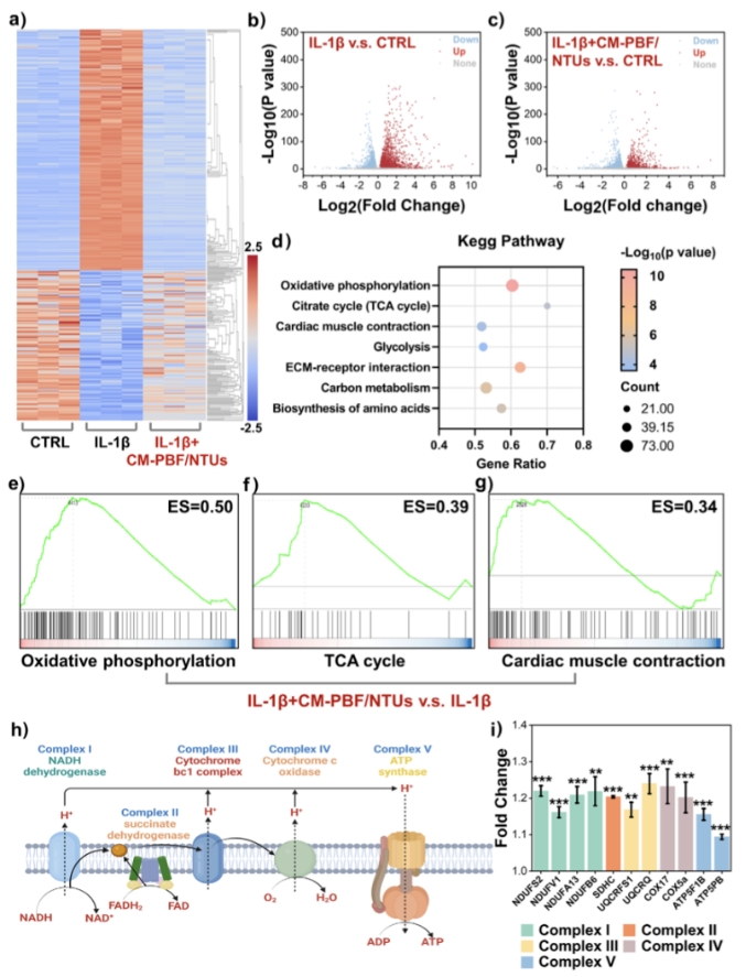 光控纳米干预修复验证