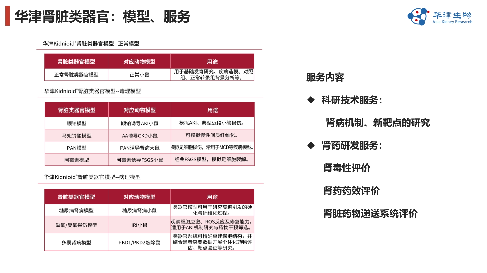 肾脏类器官模型与服务介绍