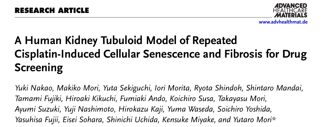 肾tubuloid模型研究背景