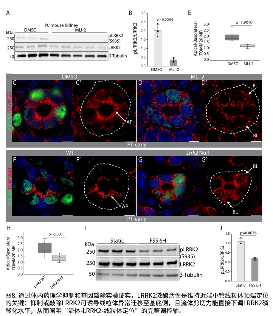 实验结果示意图8