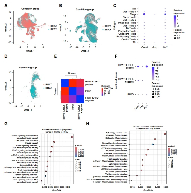 单细胞RNA测序分析图