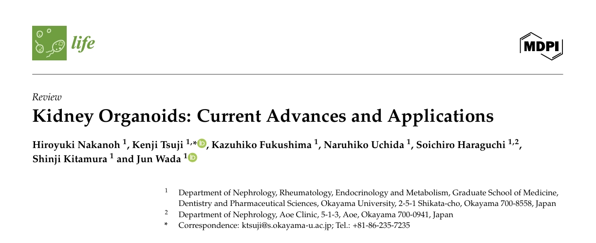 肾脏类器官技术进展