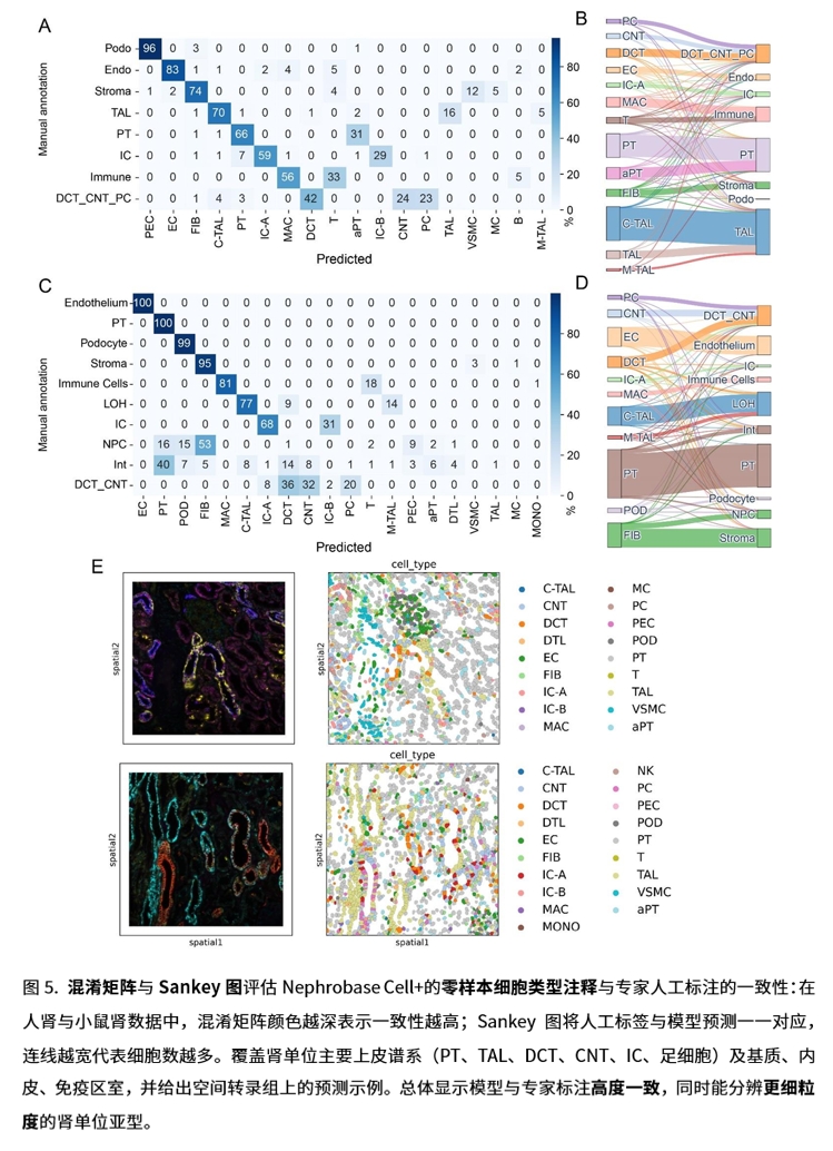 Nephrobase Cell+ 相关图示5