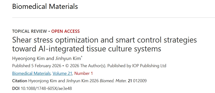 肾脏类器官示意图