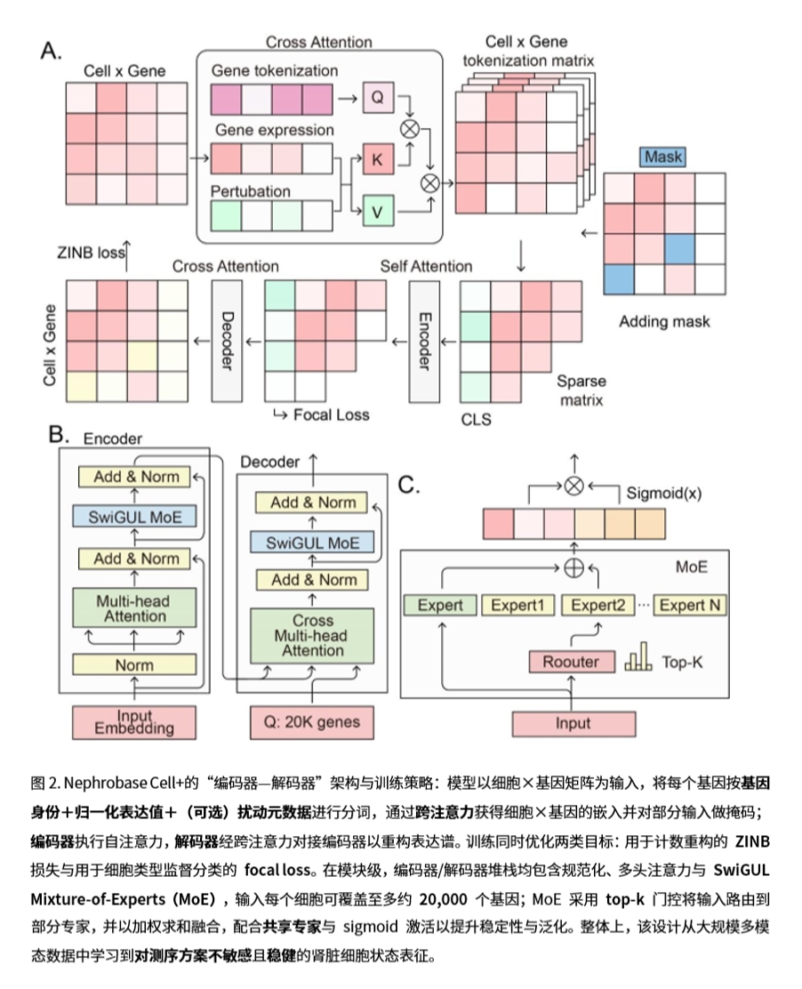 Nephrobase Cell+ 相关图示2