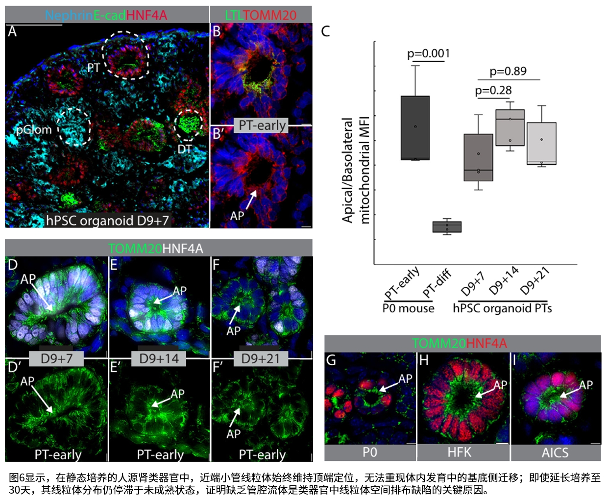 实验结果示意图6