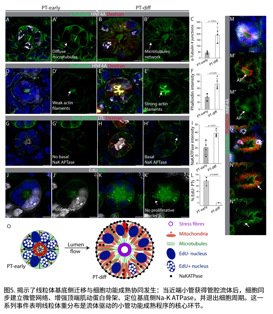 实验结果示意图5