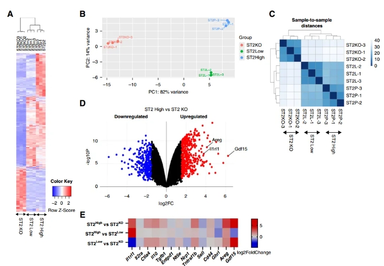 脾脏Tregs转录组分析图