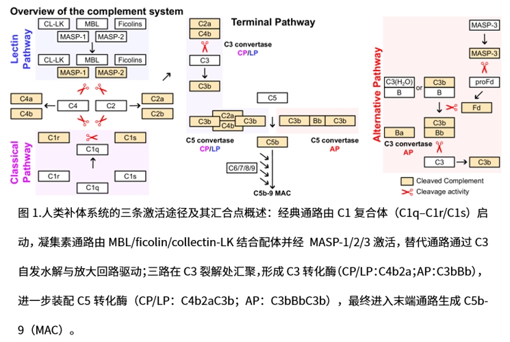 实验结果图1