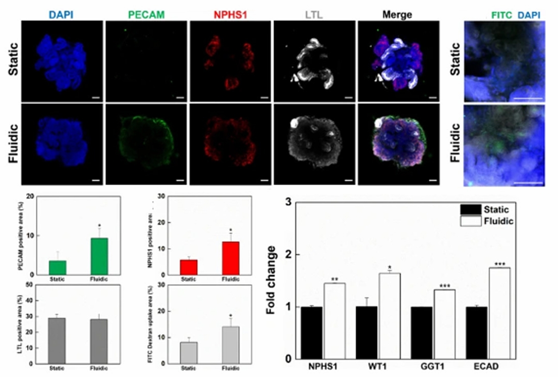 图3 剪切应力生成方式