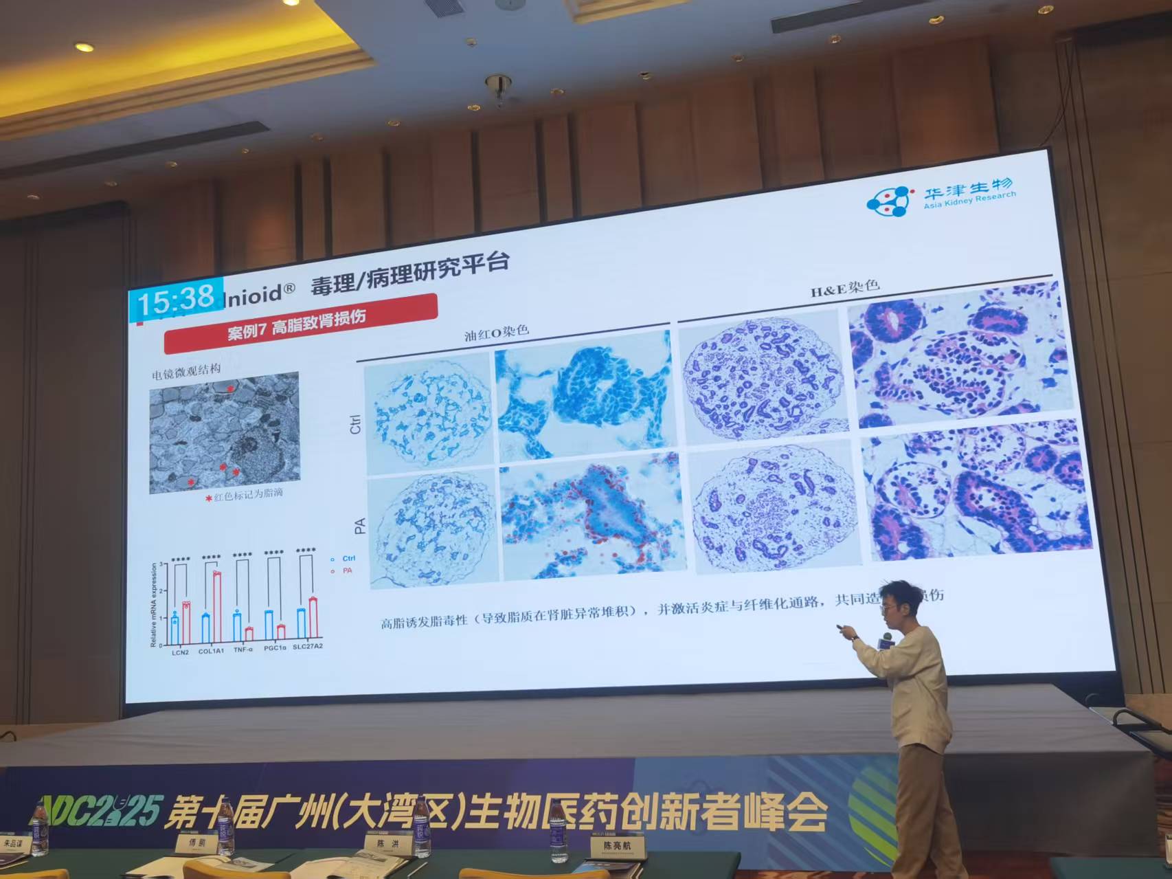 华津生物亮相NDC2025, 分享肾脏类器官前沿进展