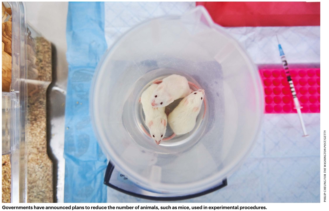 各国减少实验动物使用