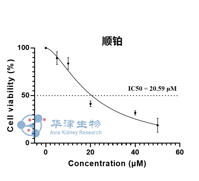 顺铂肾毒性IC50实验验证图