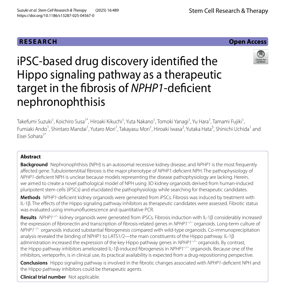 研究核心成果示意图