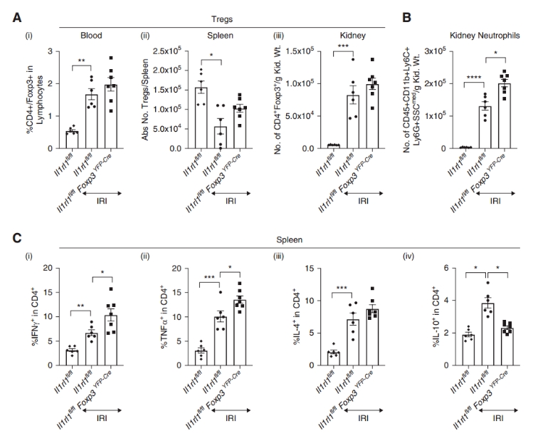 免疫细胞动态分析图