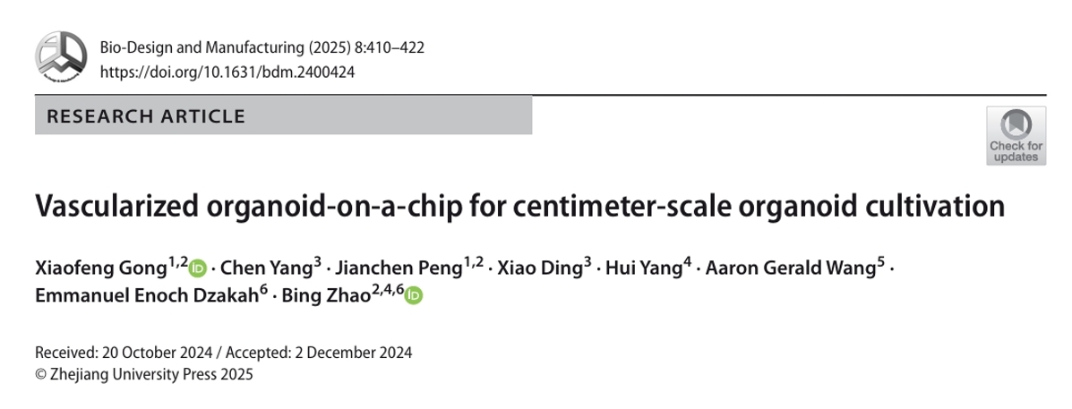 血管化类器官芯片示意图