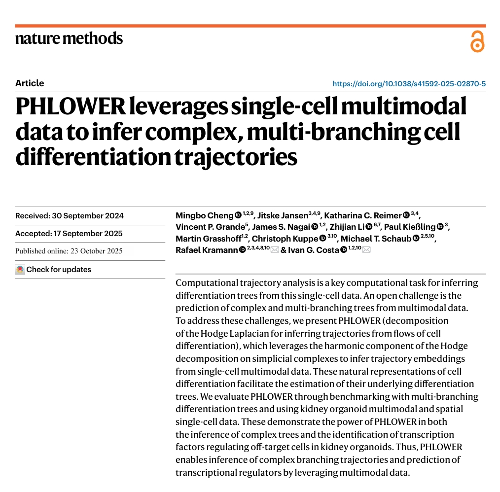 PHLOWER算法原理示意图